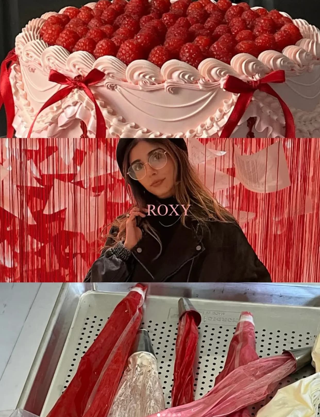 Collage of a raspberry-topped cake, Roxy, and rhubarb batons